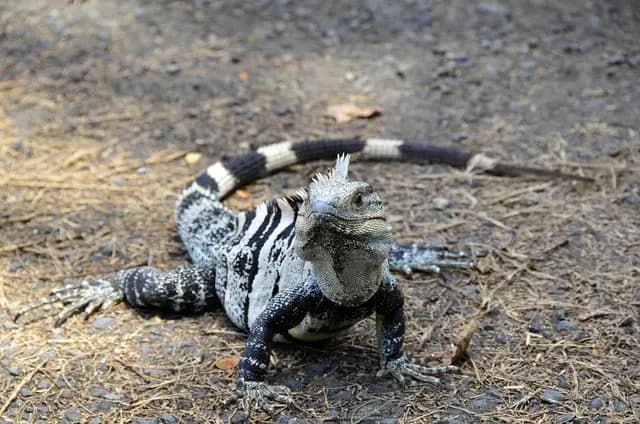 Guide d'achat : Activités manuelles pour enfants