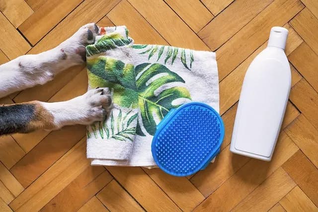 Complete Buying Guide for Pet Grooming Products