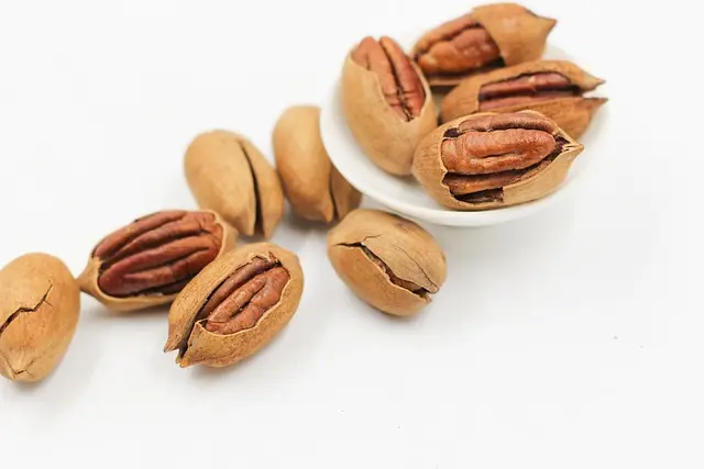 Best Dietary Aids: Comprehensive Buying Guide